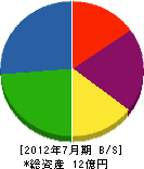 山田建工 貸借対照表 2012年7月期