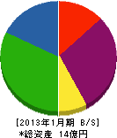 矢野口自工 貸借対照表 2013年1月期