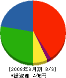 佐々木電気工業 貸借対照表 2008年6月期