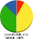 渡辺工業 貸借対照表 2008年5月期