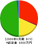 上島建設 貸借対照表 2008年6月期