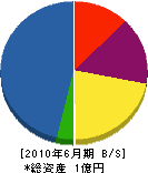 矢野電気商会 貸借対照表 2010年6月期
