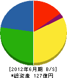 松阪興産 貸借対照表 2012年6月期