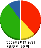 木村総業 貸借対照表 2009年9月期