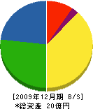 西戸崎興産 貸借対照表 2009年12月期