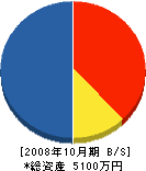 桜ペイント 貸借対照表 2008年10月期