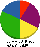 中谷建設 貸借対照表 2010年12月期 中谷建設 貸借対照表 2010年12月期