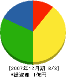 中村水道工事店 貸借対照表 2007年12月期