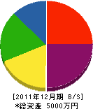 竹島工務店 貸借対照表 2011年12月期
