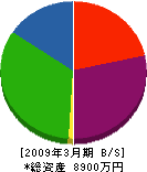 岡田住宅設備 貸借対照表 2009年3月期