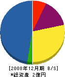 相川産業 貸借対照表 2008年12月期