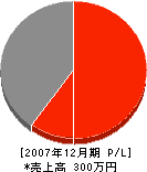 田中建具製作所 損益計算書 2007年12月期