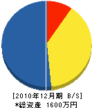 池田商事 貸借対照表 2010年12月期