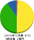 三幸ホーム 貸借対照表 2010年12月期