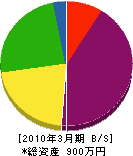 小坂塗装店 貸借対照表 2010年3月期