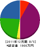藤崎塗装店 貸借対照表 2011年12月期