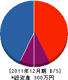 坂水道店 貸借対照表 2011年12月期