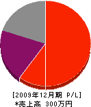 樫田塗装店 損益計算書 2009年12月期