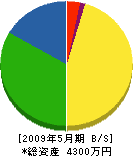 津久井建設業（同） 貸借対照表 2009年5月期