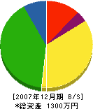 田坂工務店 貸借対照表 2007年12月期