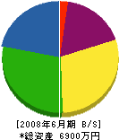 筒井土木 貸借対照表 2008年6月期