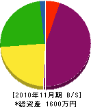 志波組 貸借対照表 2010年11月期