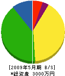永光電業社 貸借対照表 2009年5月期