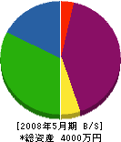 石川土木 貸借対照表 2008年5月期