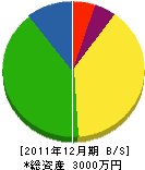 水田組 貸借対照表 2011年12月期