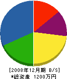 ＊橋電気工事 貸借対照表 2008年12月期