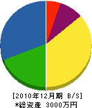 神興電気商会 貸借対照表 2010年12月期 神興電気商会 貸借対照表 2010年12月期