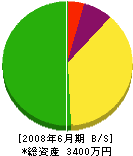 岩根組 貸借対照表 2008年6月期