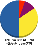 新井工業 貸借対照表 2007年12月期