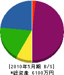 中村電工 貸借対照表 2010年5月期