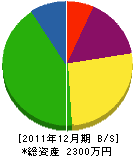 朝日電気工事店 貸借対照表 2011年12月期