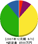 阪紀白蟻建設部 貸借対照表 2007年12月期