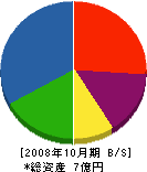 相村組 貸借対照表 2008年10月期