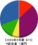 渡辺建設 貸借対照表 2008年9月期