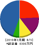 坂田電気商会 貸借対照表 2010年3月期