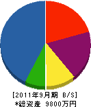 田部井設備工業所 貸借対照表 2011年9月期