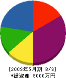 山田建設工業 貸借対照表 2009年5月期