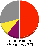 西田中工業 損益計算書 2010年6月期