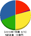 橋津塗料 貸借対照表 2010年7月期