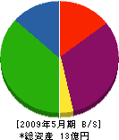 茨木建設 貸借対照表 2009年5月期