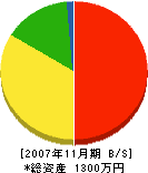 寺島商店 貸借対照表 2007年11月期