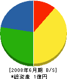 佐竹工務店 貸借対照表 2008年6月期