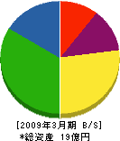 阪神測建 貸借対照表 2009年3月期