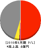 ヘッグ 損益計算書 2010年6月期