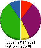 花澤林産興業 貸借対照表 2008年9月期