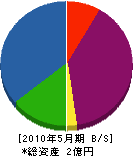上野物産 貸借対照表 2010年5月期
